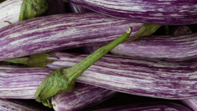 The Great Eggplant Rebellion of 2026: How One Vegetable Sparked Global Chaos
