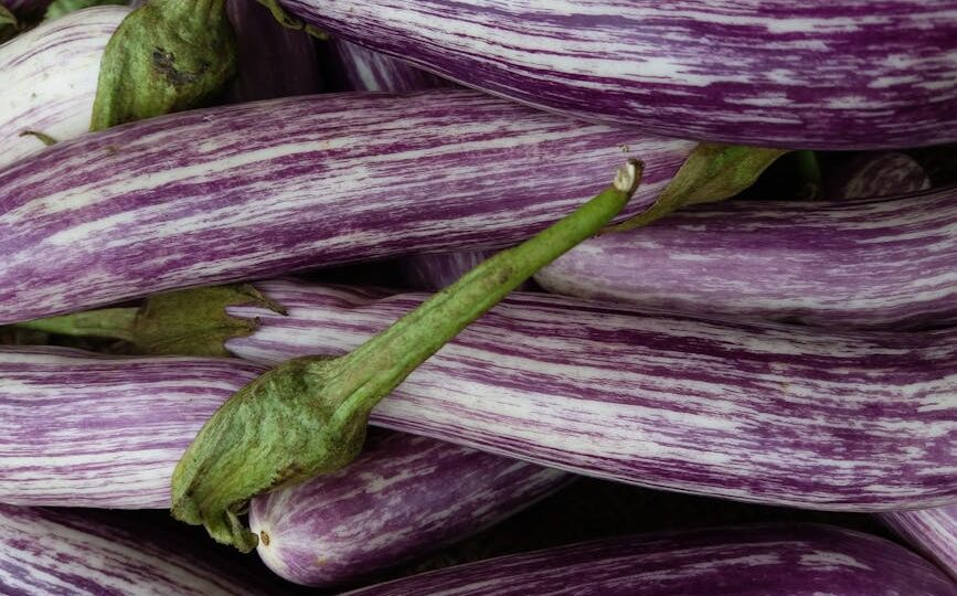 The Great Eggplant Rebellion of 2026: How One Vegetable Sparked Global Chaos