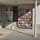 The Unbelievable Tale of 2026’s Wandering Library: When Books Go Rogue