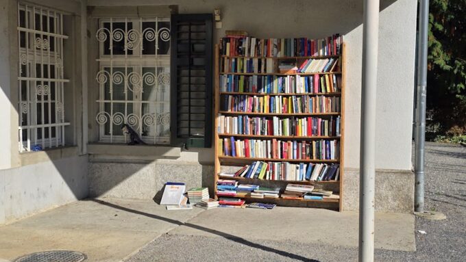 The Unbelievable Tale of 2026’s Wandering Library: When Books Go Rogue