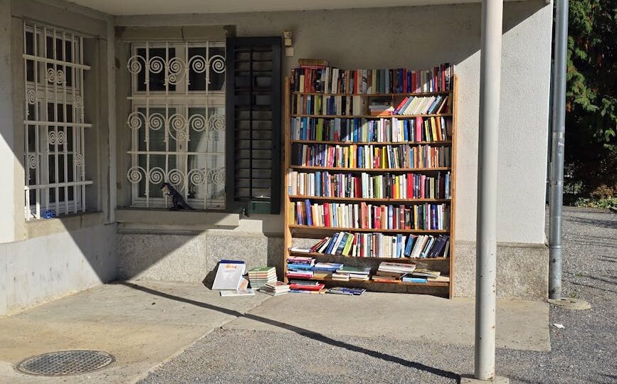 The Unbelievable Tale of 2026’s Wandering Library: When Books Go Rogue
