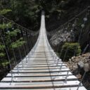 The Bouncing Bridges of 2026: When Suspension Turns to Surprise
