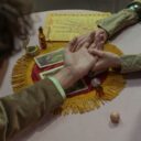 The Unbelievable Tale of the 2026 Psychic Parrots: When Birds Outsmart Humans