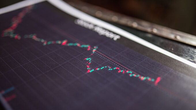 The 2026 Phenomenon: When Cats Conquered the Stock Market