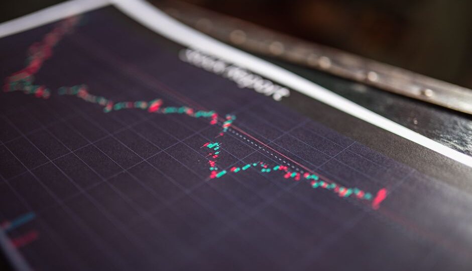 The 2026 Phenomenon: When Cats Conquered the Stock Market
