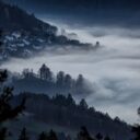 The 2026 Phenomenon: The Mysterious Case of the Vanishing Villages