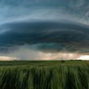The 2026 Tale of the Whispering Winds: When Nature Became the Ultimate Gossip Hub