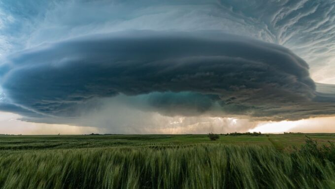 The 2026 Tale of the Whispering Winds: When Nature Became the Ultimate Gossip Hub