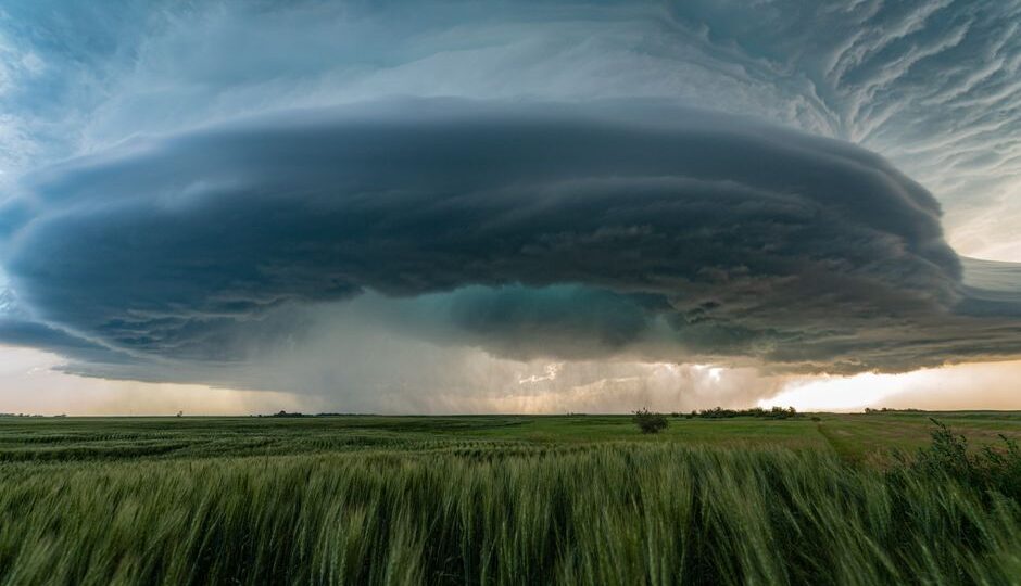 The 2026 Tale of the Whispering Winds: When Nature Became the Ultimate Gossip Hub